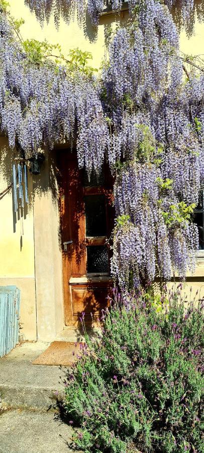 La Maison Des Tisserandes Montsegur Ngoại thất bức ảnh